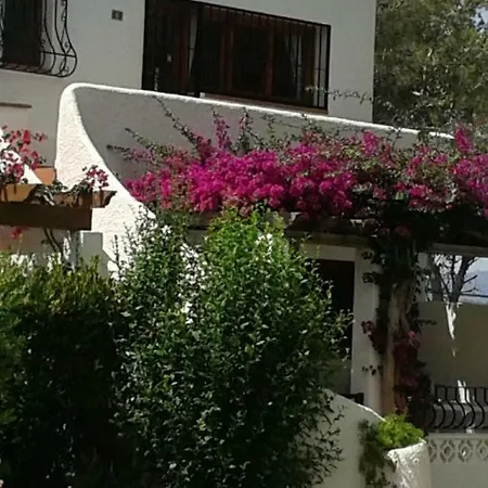 Daire 76 Los Lagos